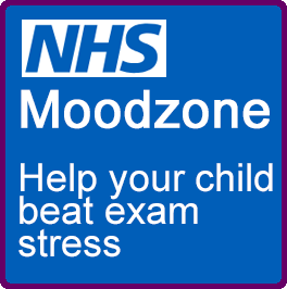 NHS Moodzone Web Icon Lge